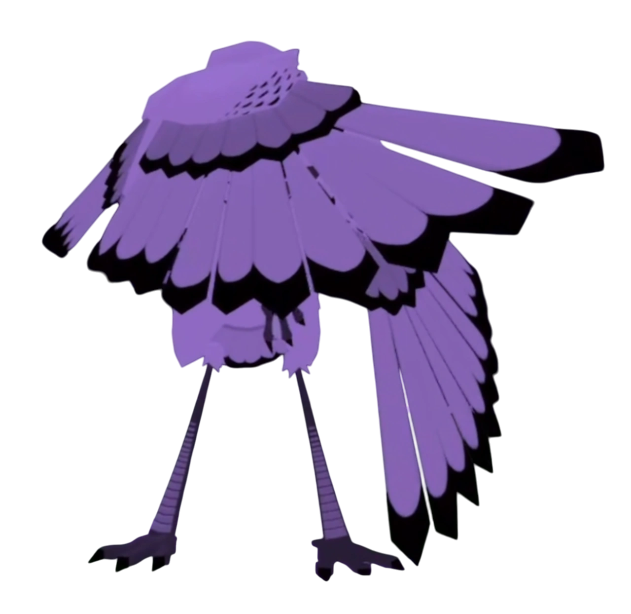 The Owl scared by flashlight